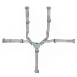 BÉABA Autres Pièces Détachées*Harnais 5-points Evolu - Menthe Anthracite